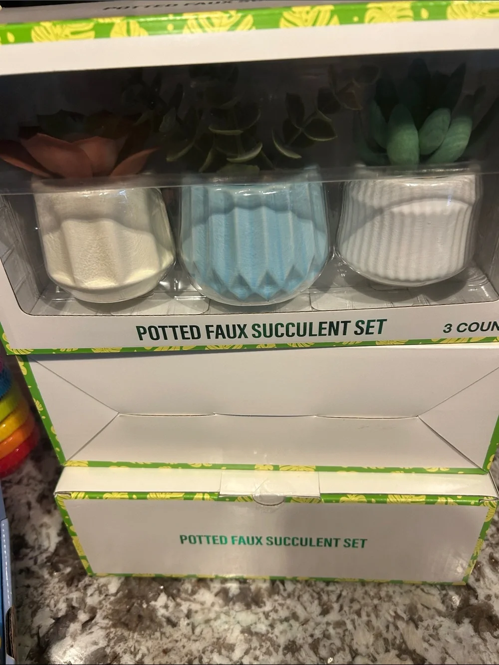 FESTIVE VOICE POTTED FAUX SUCCULENT SET LOT OF 3 NWY